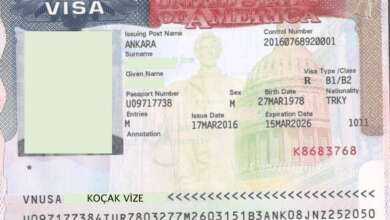 amerika vizesi