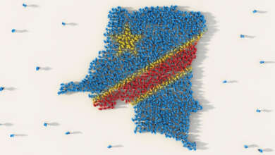 demokratik-kongo-vizesi
