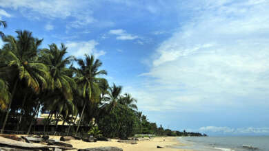 gabon vizesi