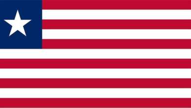 Liberya vizesi