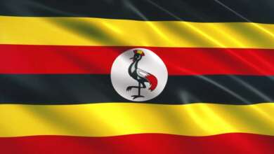 Uganda vizesi