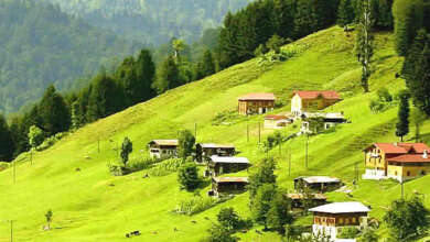 ayder yaylası