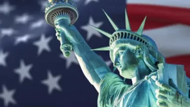 amerikada egitim